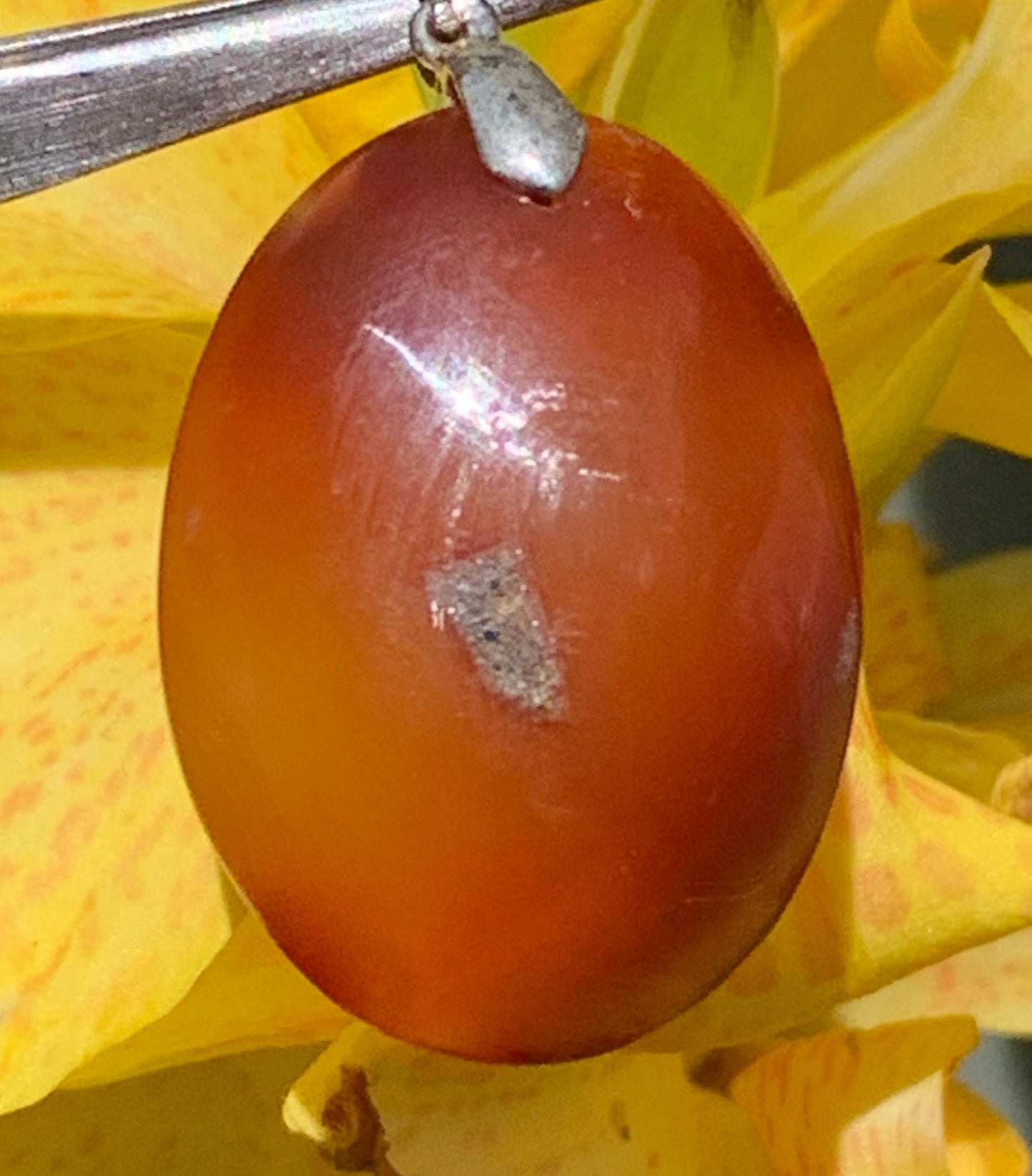 Carnelian, pendant measuring 42mm high x 25mm wide x 8mm thick. Sold with an adjustable black cord!