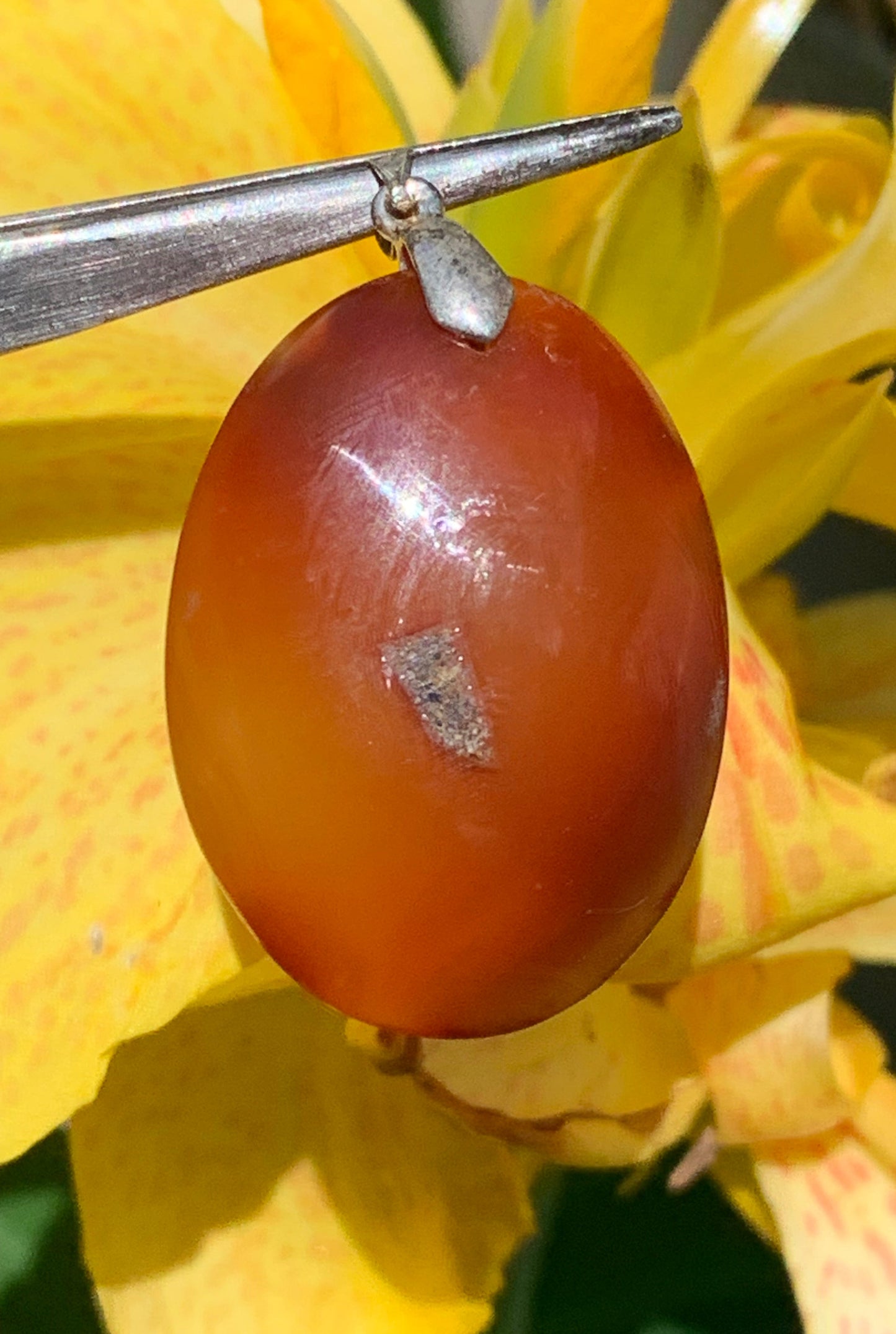 Carnelian, pendant measuring 42mm high x 25mm wide x 8mm thick. Sold with an adjustable black cord!