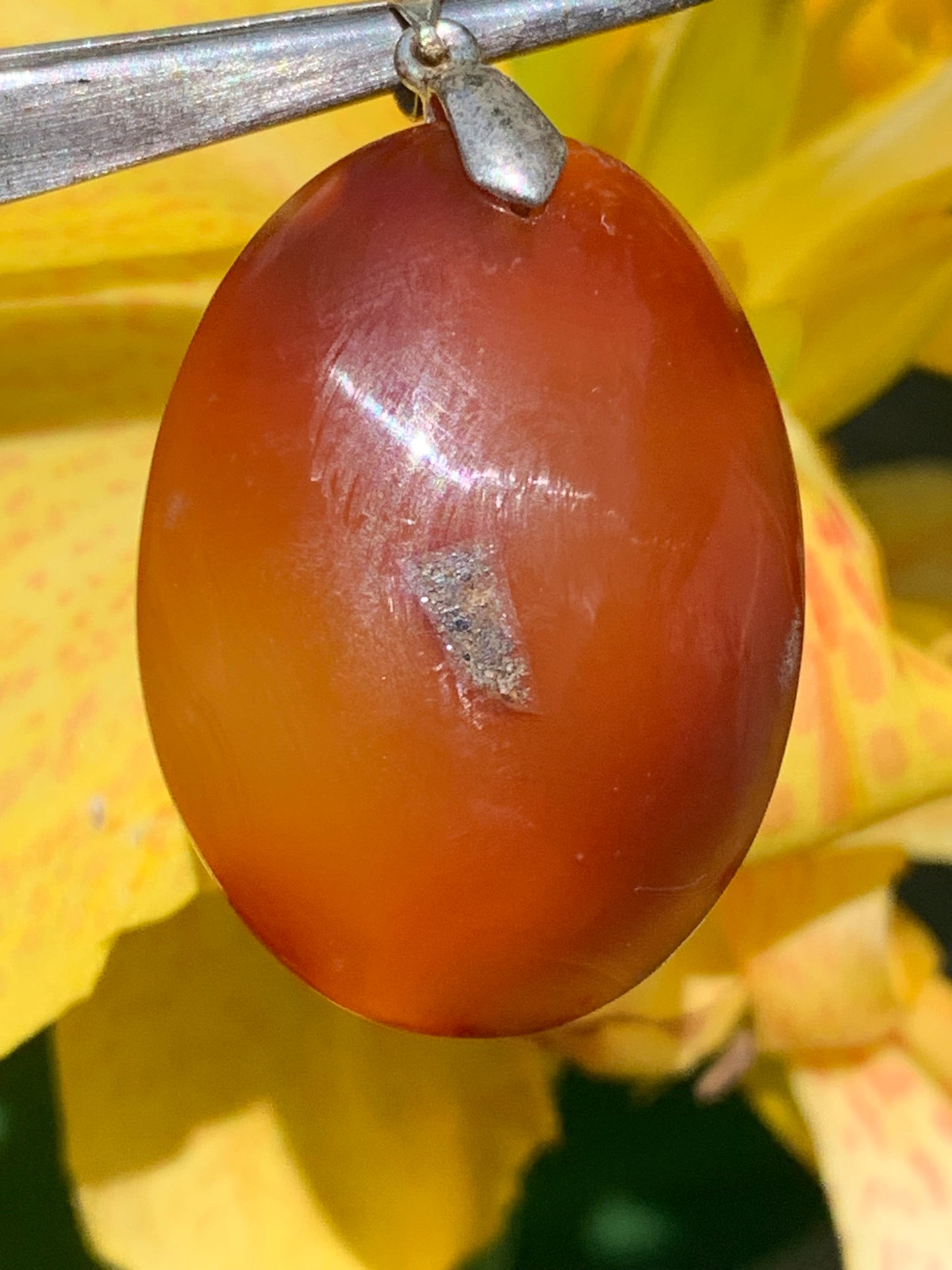 Carnelian, pendant measuring 42mm high x 25mm wide x 8mm thick. Sold with an adjustable black cord!