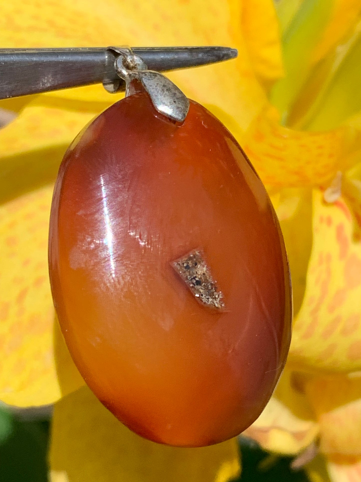 Carnelian, pendant measuring 42mm high x 25mm wide x 8mm thick. Sold with an adjustable black cord!