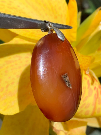 Carnelian, pendant measuring 42mm high x 25mm wide x 8mm thick. Sold with an adjustable black cord!
