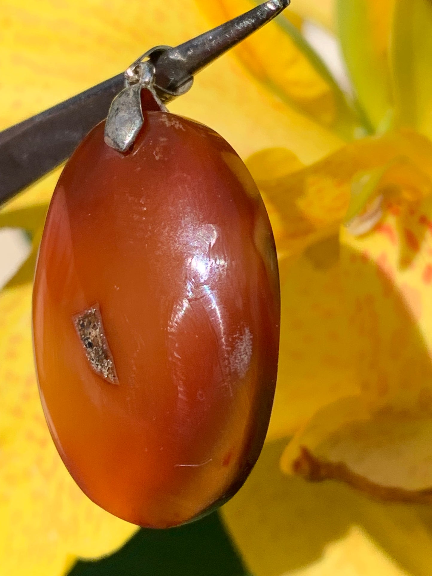 Carnelian, pendant measuring 42mm high x 25mm wide x 8mm thick. Sold with an adjustable black cord!