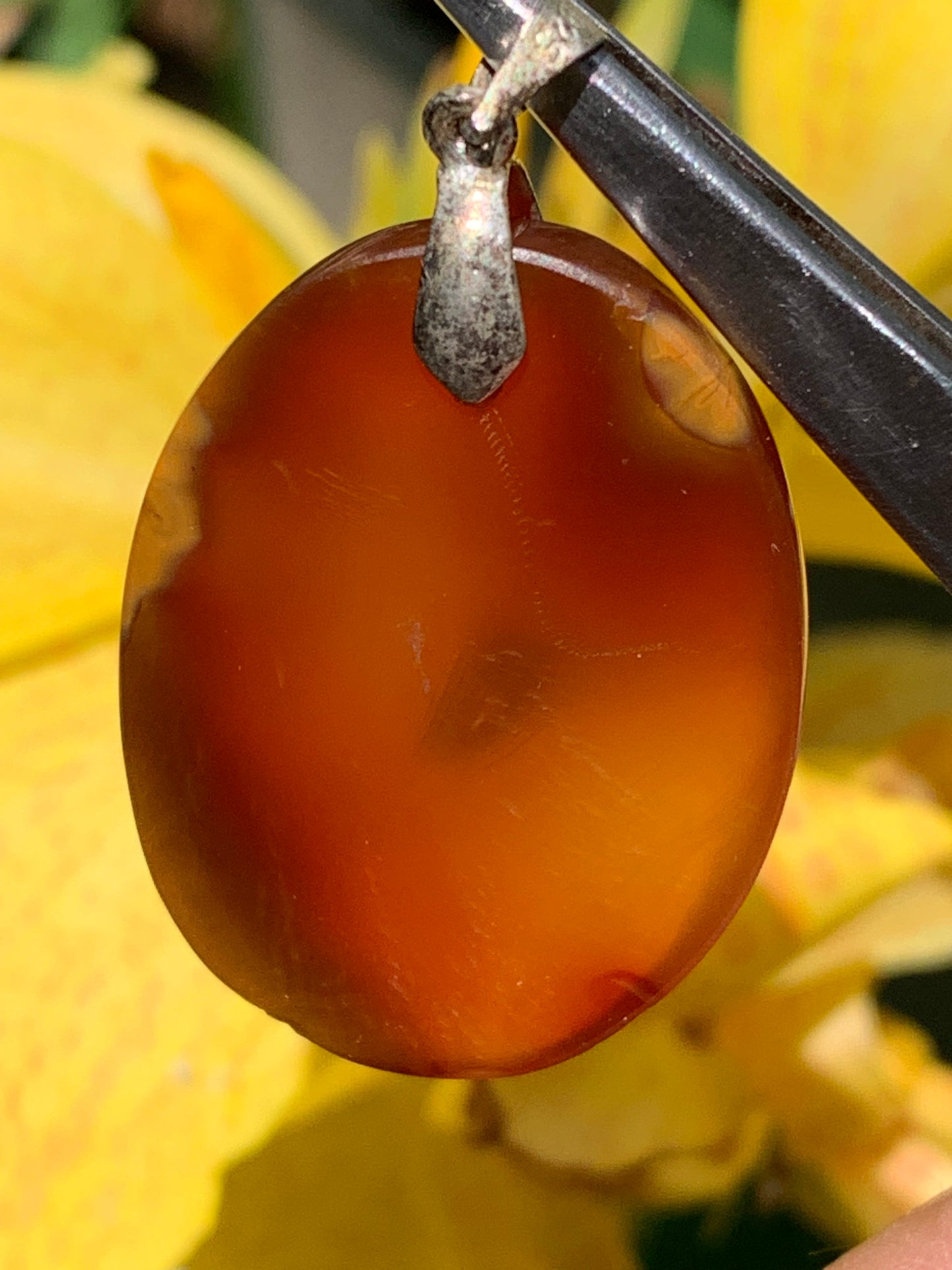 Carnelian, pendant measuring 42mm high x 25mm wide x 8mm thick. Sold with an adjustable black cord!