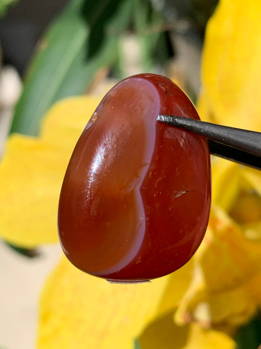 Carnelian, pendant measuring 31mm high x 23mm wide x 12mm thick. Sold with an adjustable black cord!
