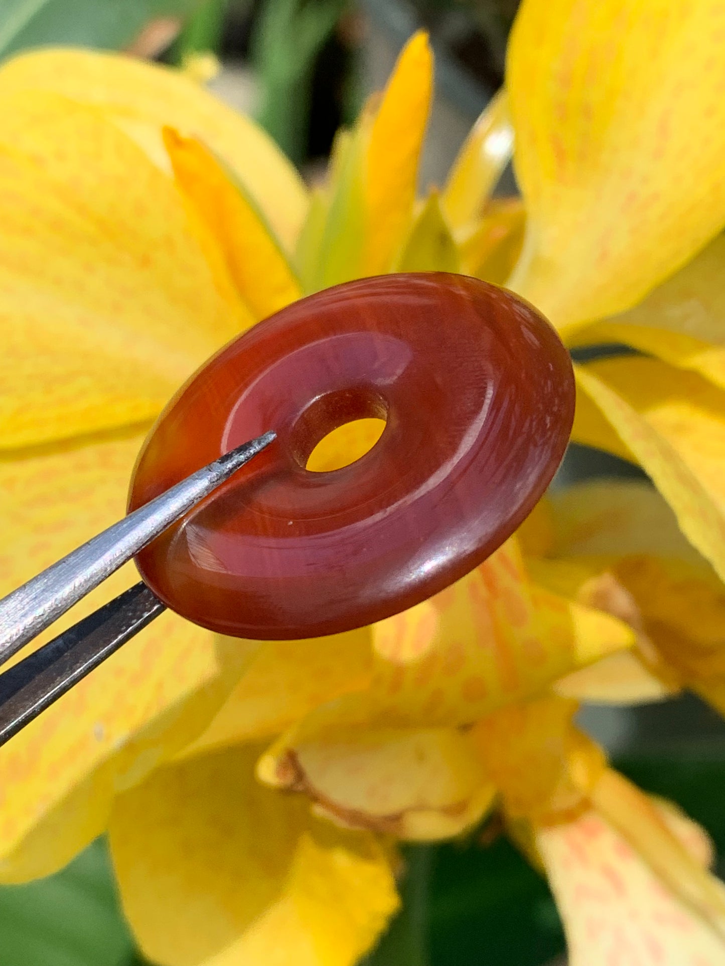 Cornaline, pendentif 'donuts' de 30mm de hauteur x 30 de largeur x 5 d'épaisseur. Vendu avec cordon réglable de couleur noire !