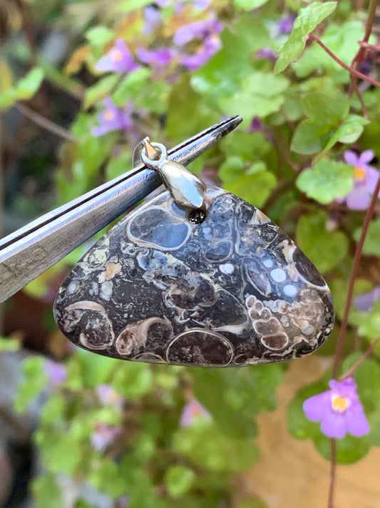 Agate turitelle/ fossile, pendentif de 36mm de hauteur x 36 de largeur x 11 d'épaisseur. Vendu avec cordon réglable de couleur noire !