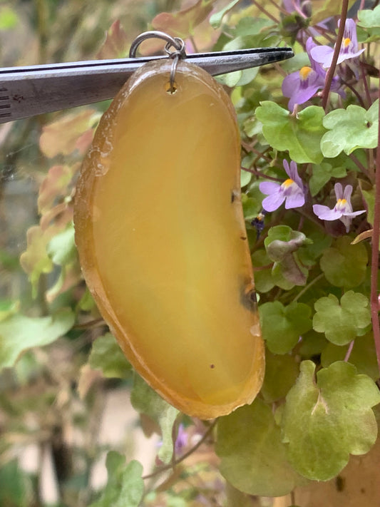Agate jaune, pendentif de type 'tranche naturelle polie' de 60 millimètres de hauteur x 23 mm de largeur x 5 millimètres. Vendu avec cordon noir réglable offert !