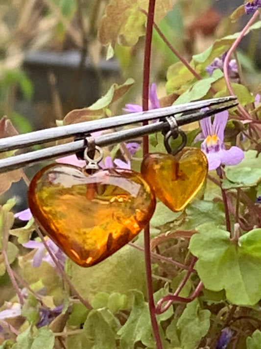 Ambre, pendentif en forme de 'coeur', 2 tailles au choix de 16x18x6 ou 10x10x5 millimètres, vendu avec cordon coulissant (réglable), en cuir noir de 40 à 70 centimètres !