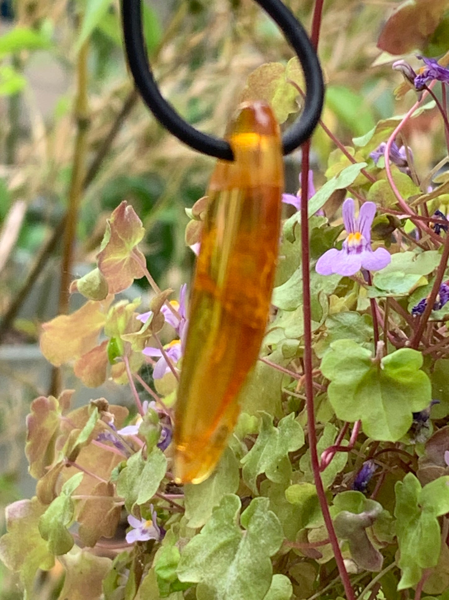 Amber, pendant measuring 40x10x6 millimeters, sold with a sliding (adjustable) black leather cord from 40 to 70 centimeters!