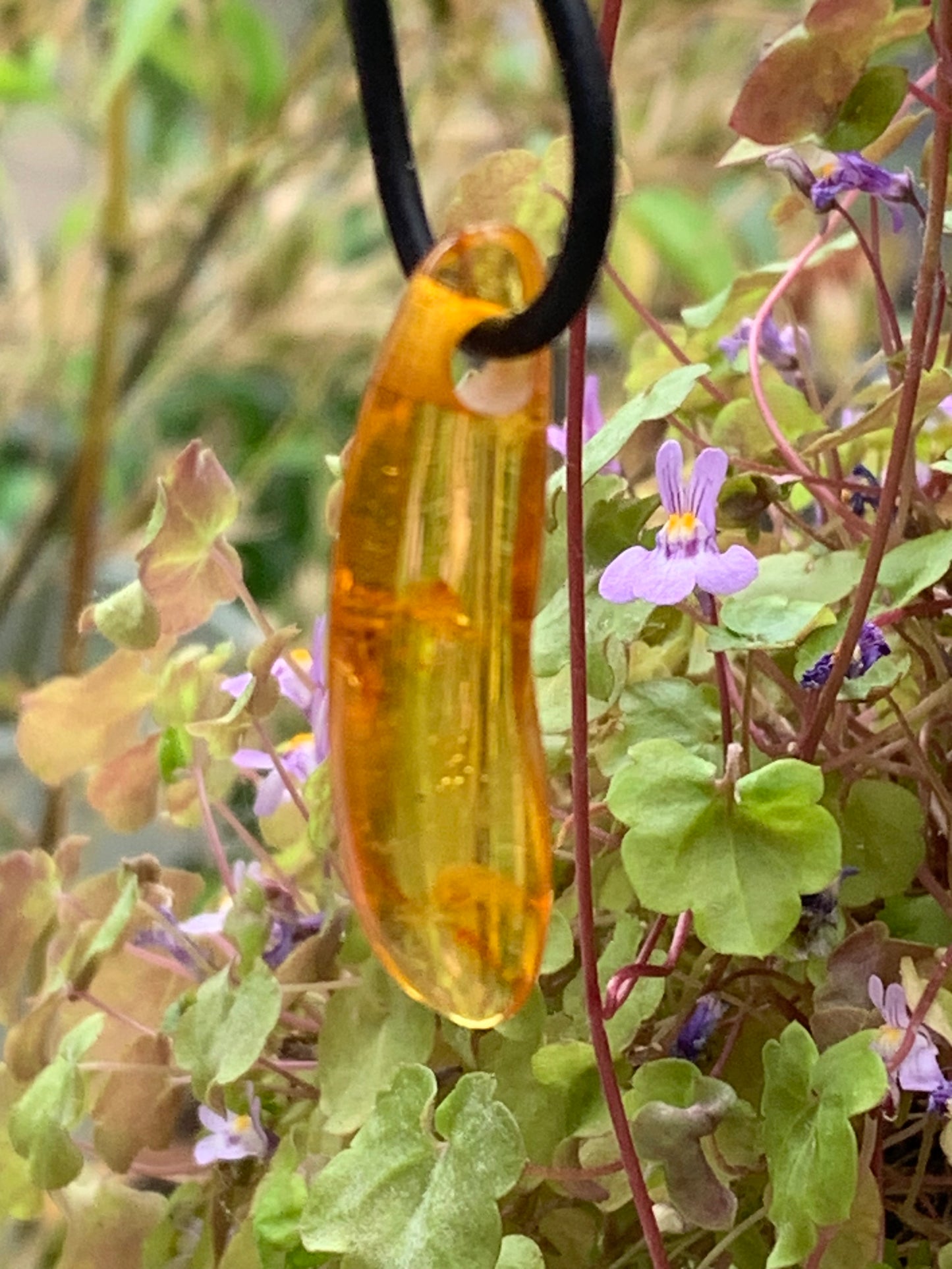 Amber, pendant measuring 40x10x6 millimeters, sold with a sliding (adjustable) black leather cord from 40 to 70 centimeters!