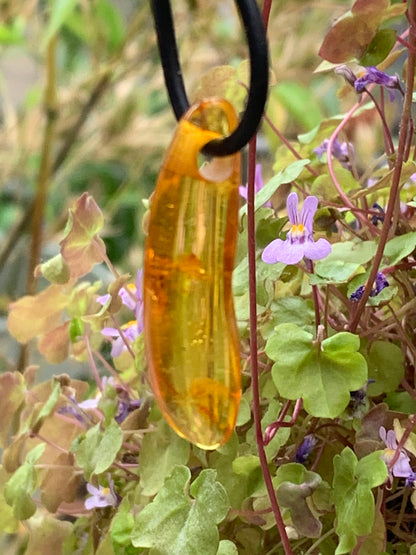 Amber, pendant measuring 40x10x6 millimeters, sold with a sliding (adjustable) black leather cord from 40 to 70 centimeters!
