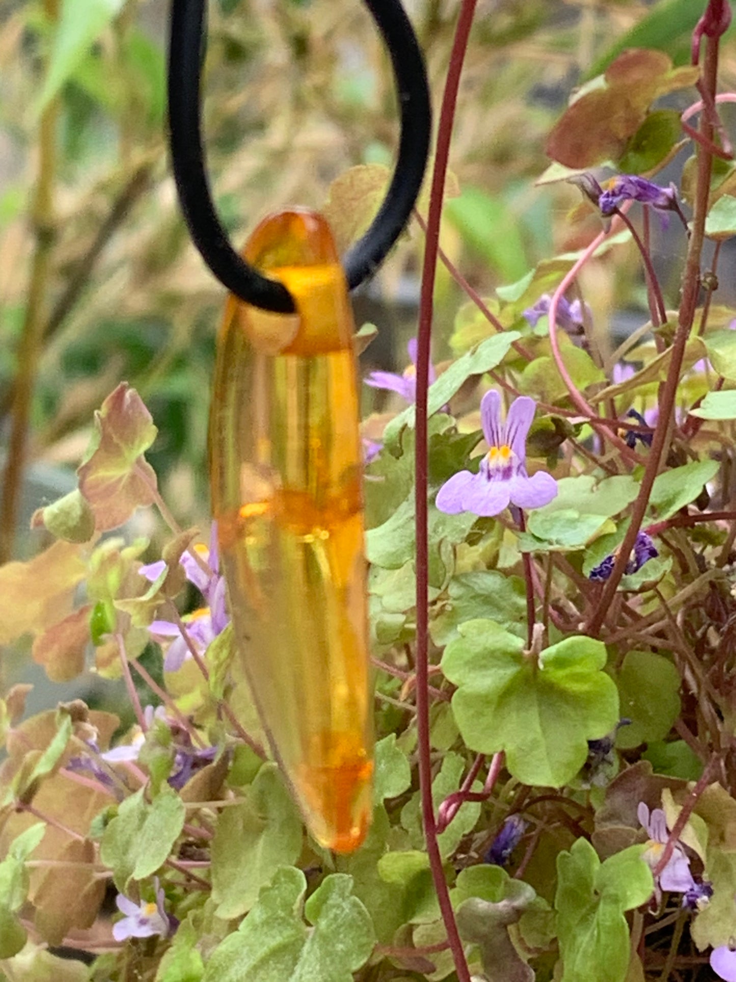 Amber, pendant measuring 40x10x6 millimeters, sold with a sliding (adjustable) black leather cord from 40 to 70 centimeters!