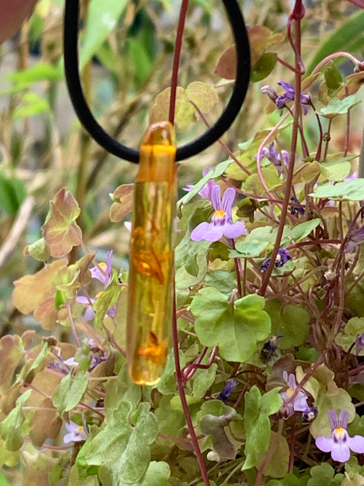 Amber, pendant measuring 40x10x6 millimeters, sold with a sliding (adjustable) black leather cord from 40 to 70 centimeters!