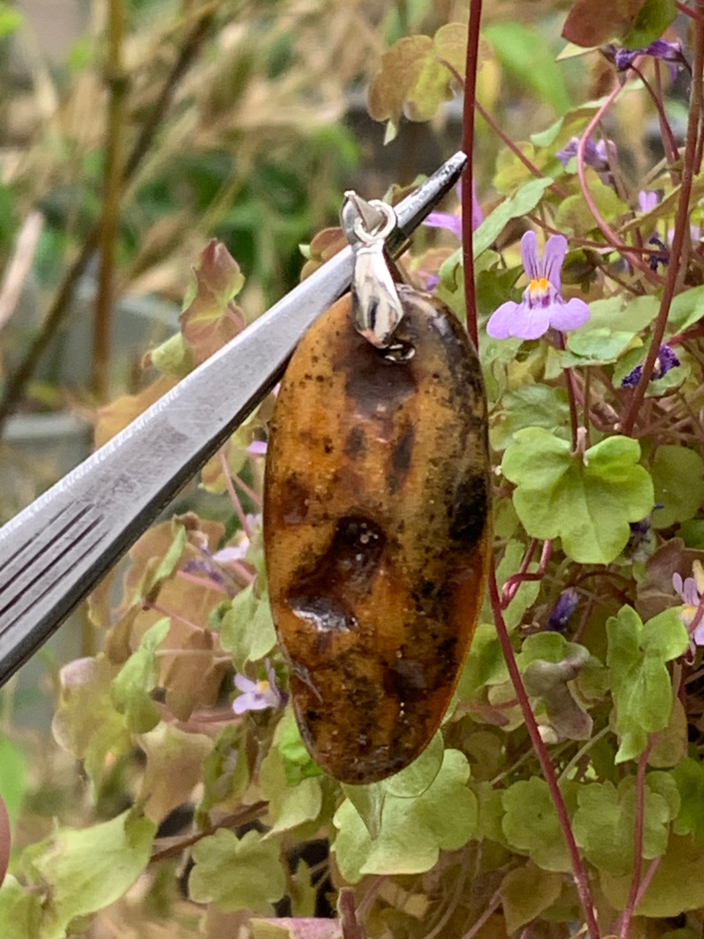 Amber, pendant measuring 50x18x10 millimeters, sold with a sliding (adjustable) black leather cord measuring 40 to 70 centimeters!