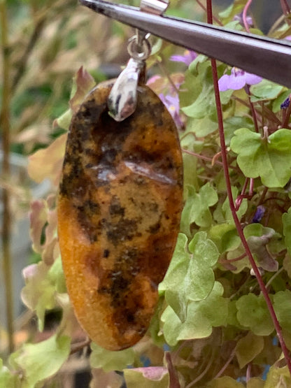 Amber, pendant measuring 50x18x10 millimeters, sold with a sliding (adjustable) black leather cord measuring 40 to 70 centimeters!