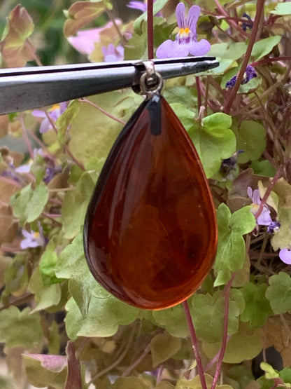 Amber, pendant measuring 40x20x10 millimeters, sold with a sliding (adjustable) black leather cord from 40 to 70 centimeters!