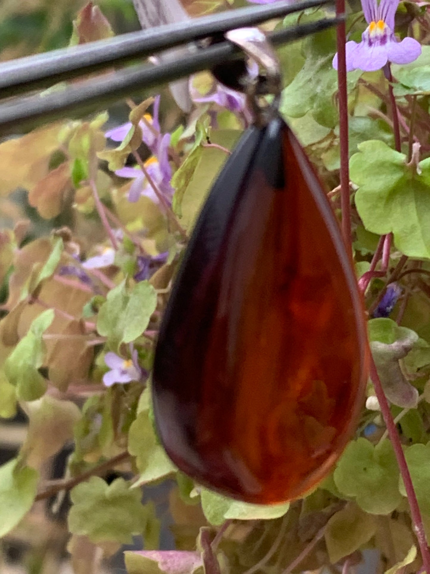 Amber, pendant measuring 40x20x10 millimeters, sold with a sliding (adjustable) black leather cord from 40 to 70 centimeters!