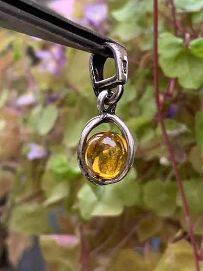 Amber, pretty little silver pendant measuring 20x8x8 millimeters, sold with a sliding (adjustable) black leather cord measuring 40 to 70 centimeters!