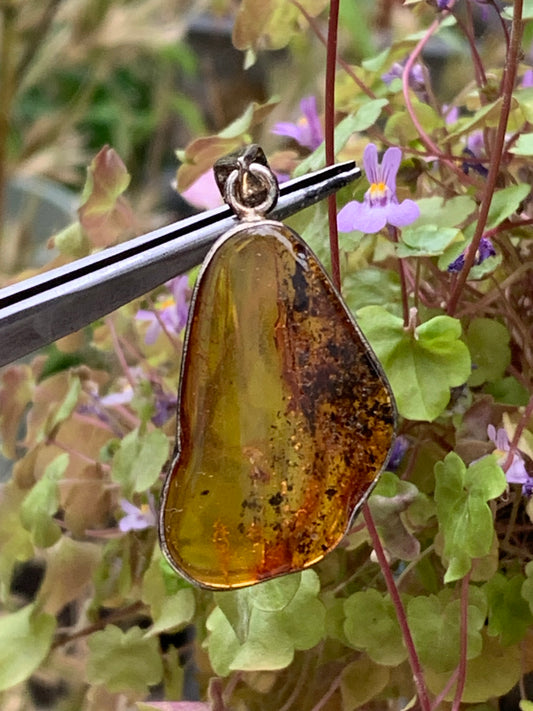 Amber, superb silver pendant measuring 45x20x8 mm. Sold with a sliding (adjustable) black leather cord from 40 to 70 cm!