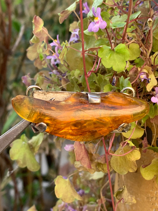 Amber, superb silver pendant measuring 55 x 20 x 10 millimeters! Superb pebble held by 3 claws in a horizontal position, made by G &amp; Z!