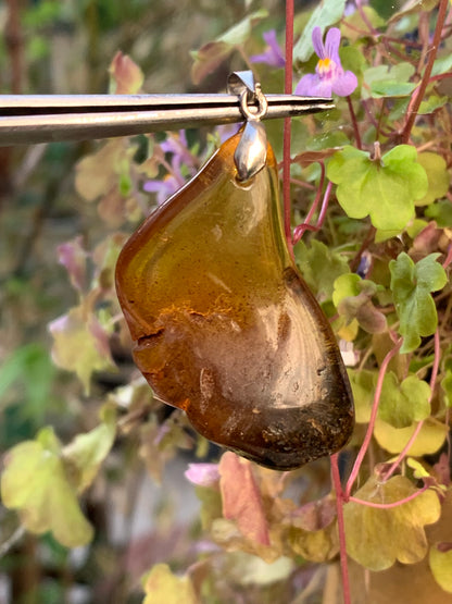 Amber, pendant, polished natural pebble measuring 47x22x10 millimeters, sold with a sliding (adjustable) black leather cord measuring 40 to 70 centimeters!