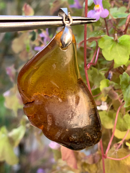 Amber, pendant, polished natural pebble measuring 47x22x10 millimeters, sold with a sliding (adjustable) black leather cord measuring 40 to 70 centimeters!