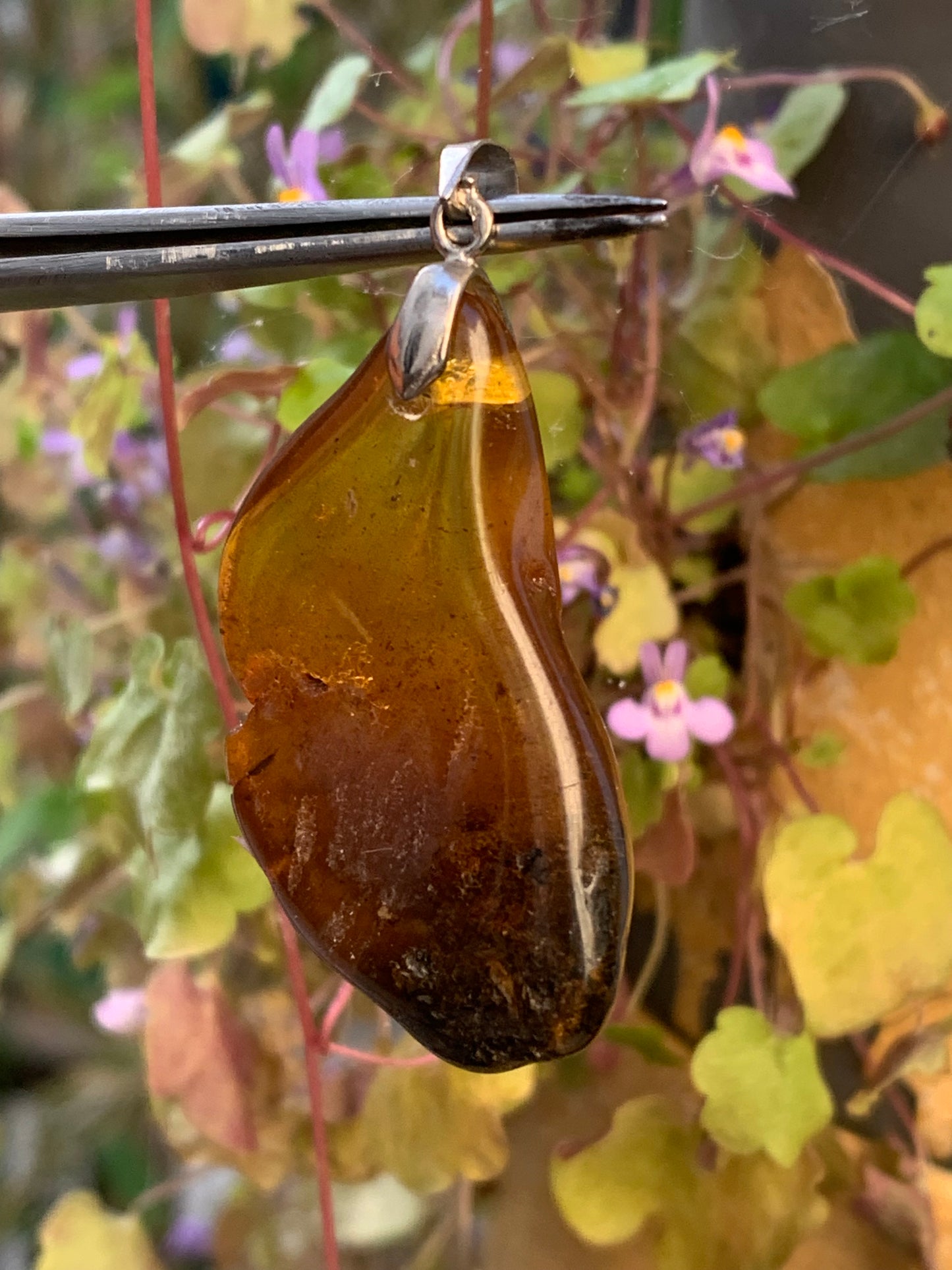 Amber, pendant, polished natural pebble measuring 47x22x10 millimeters, sold with a sliding (adjustable) black leather cord measuring 40 to 70 centimeters!