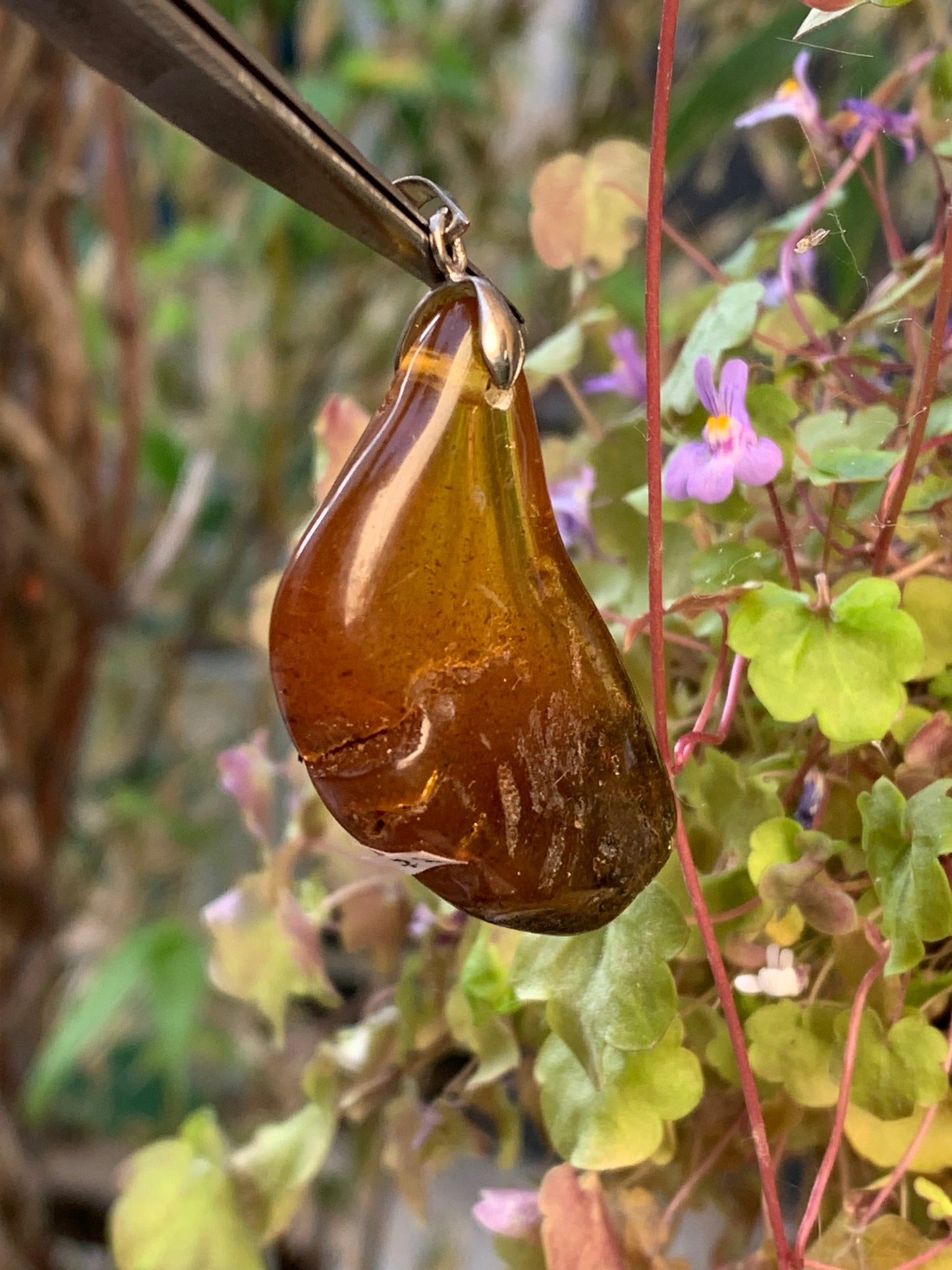 Amber, pendant, polished natural pebble measuring 47x22x10 millimeters, sold with a sliding (adjustable) black leather cord measuring 40 to 70 centimeters!