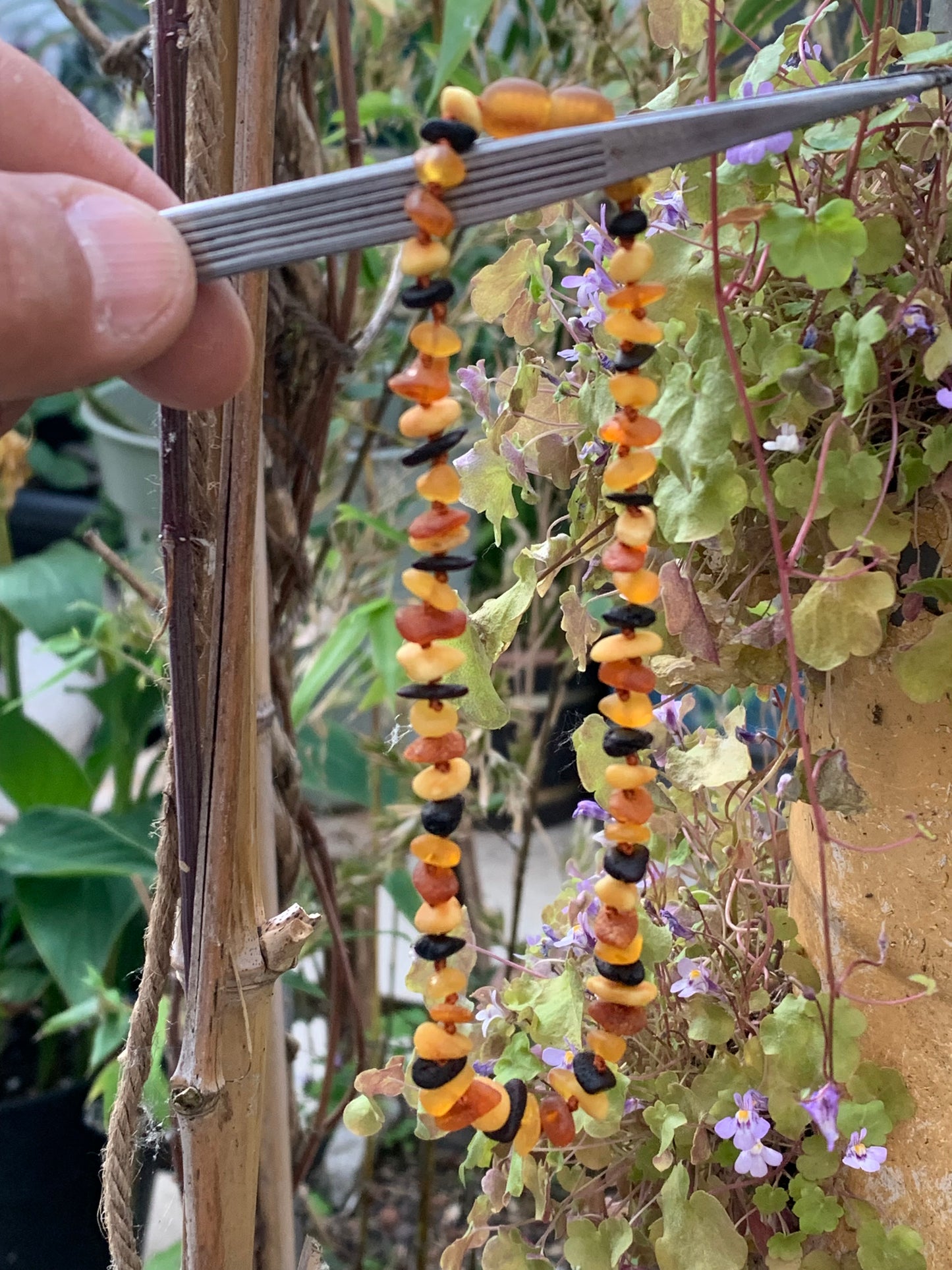 Amber, 28-centimeter long children's necklace, 8 mm pearl according to current standards (a knot between each pearl). Mix 4 colors, superb effects!