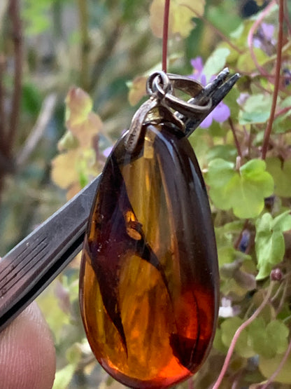 Amber, silver pendant, polished natural pebble measuring 50x22x15 millimeters, sold with a sliding (adjustable) black leather cord measuring 40 to 70 centimeters!