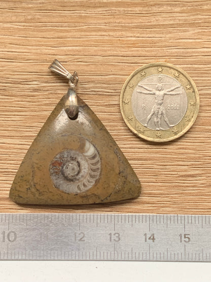 Ammonite fossile dans du grès rouge (Usa), pendentif de taille 40 millimètres x 35 x 7. Vendu avec ou sans cordon noir et réglable de 60 cm !