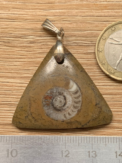 Ammonite fossile dans du grès rouge (Usa), pendentif de taille 40 millimètres x 35 x 7. Vendu avec ou sans cordon noir et réglable de 60 cm !