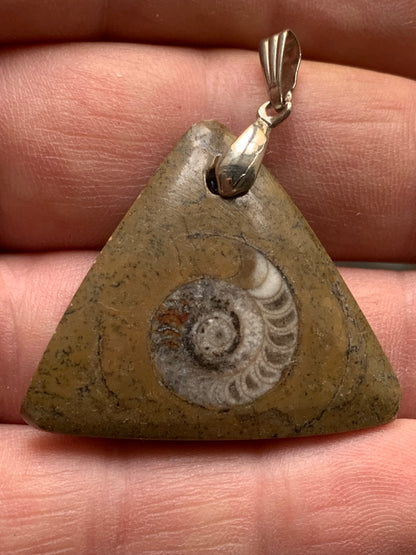 Ammonite fossile dans du grès rouge (Usa), pendentif de taille 40 millimètres x 35 x 7. Vendu avec ou sans cordon noir et réglable de 60 cm !