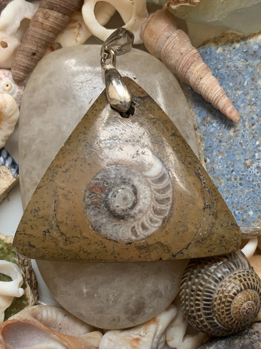 Ammonite fossile dans du grès rouge (Usa), pendentif de taille 40 millimètres x 35 x 7. Vendu avec ou sans cordon noir et réglable de 60 cm !