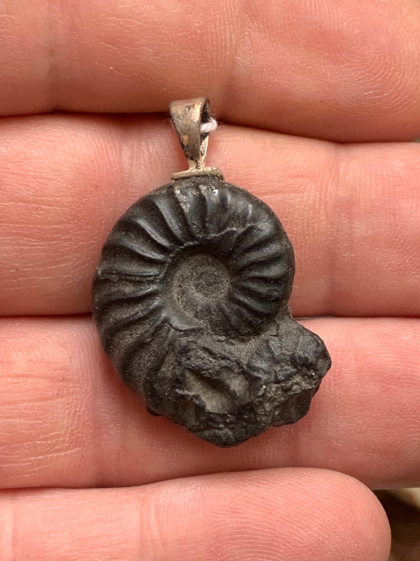 Ammonite, pendentif avec support en Argent 025 rhodié. Taille de 35 millimètres x 22 x 9. Vendu avec ou sans cordon noir et réglable de 60 cm