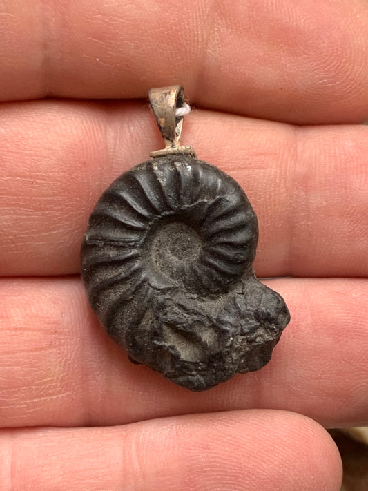 Ammonite, pendentif avec support en Argent 025 rhodié. Taille de 35 millimètres x 22 x 9. Vendu avec ou sans cordon noir et réglable de 60 cm