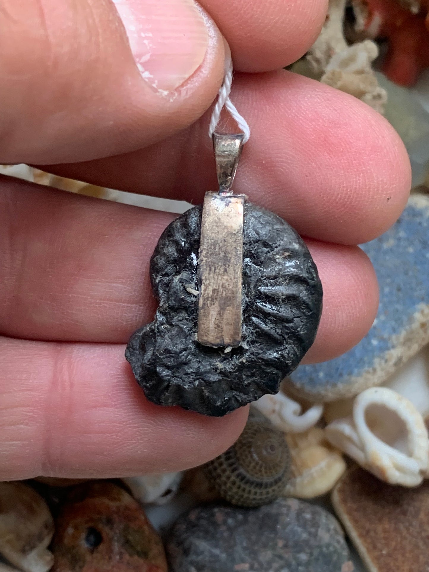 Ammonite, pendentif avec support en Argent 025 rhodié. Taille de 35 millimètres x 22 x 9. Vendu avec ou sans cordon noir et réglable de 60 cm