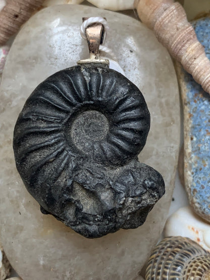 Ammonite, pendentif avec support en Argent 025 rhodié. Taille de 35 millimètres x 22 x 9. Vendu avec ou sans cordon noir et réglable de 60 cm