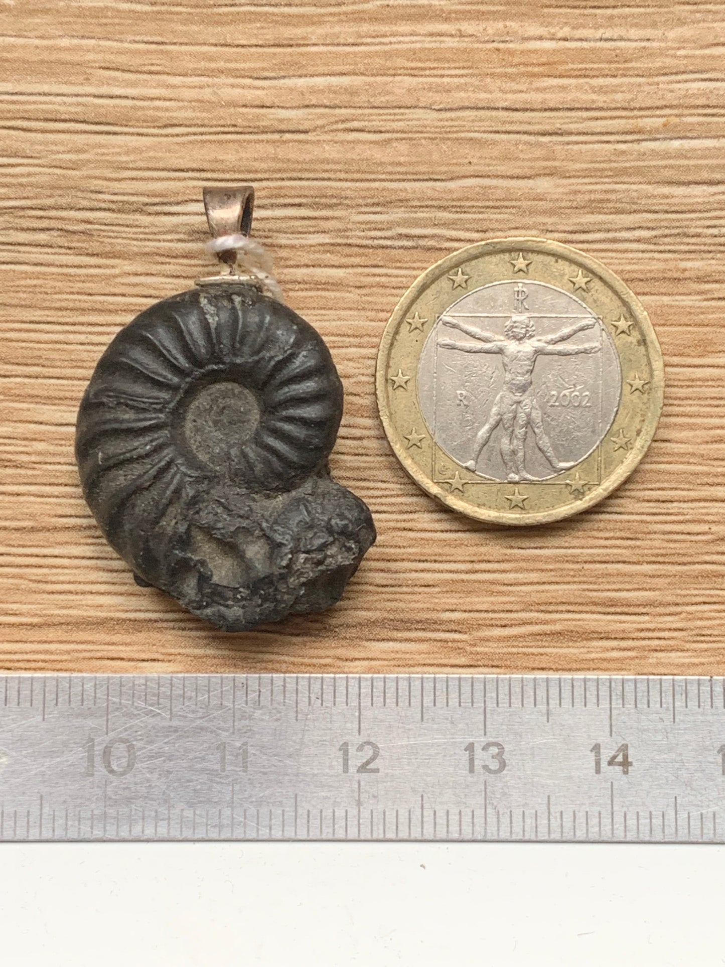 Ammonite, pendentif avec support en Argent 025 rhodié. Taille de 35 millimètres x 22 x 9. Vendu avec ou sans cordon noir et réglable de 60 cm
