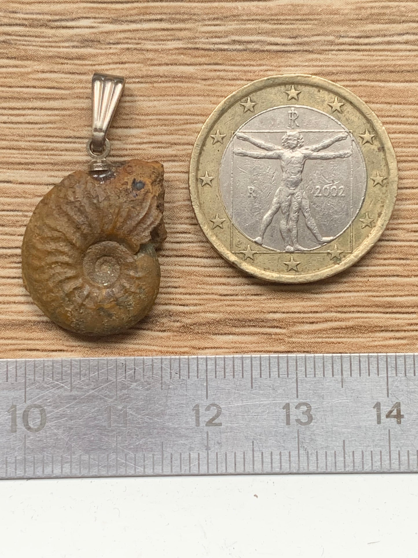 Ammonite, pendentif de taille de 30 millimètres x 15 x 6. Vendu avec ou sans cordon noir et réglable de 60 cm !