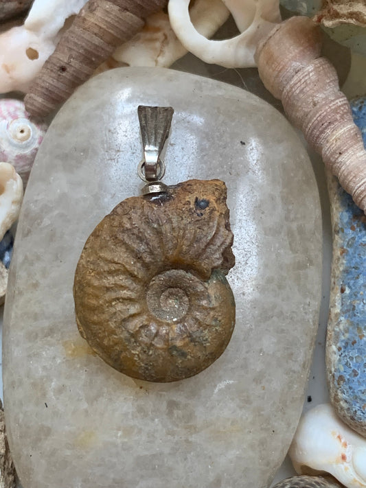 Ammonite, pendentif de taille de 30 millimètres x 15 x 6. Vendu avec ou sans cordon noir et réglable de 60 cm !