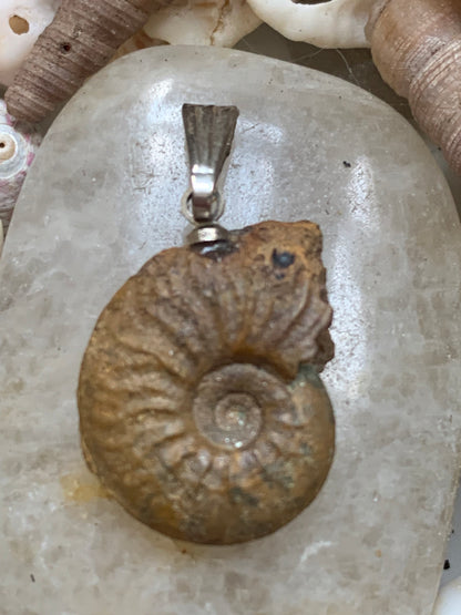 Ammonite, pendentif de taille de 30 millimètres x 15 x 6. Vendu avec ou sans cordon noir et réglable de 60 cm !
