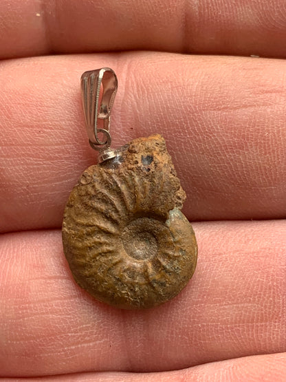 Ammonite, pendentif de taille de 30 millimètres x 15 x 6. Vendu avec ou sans cordon noir et réglable de 60 cm !
