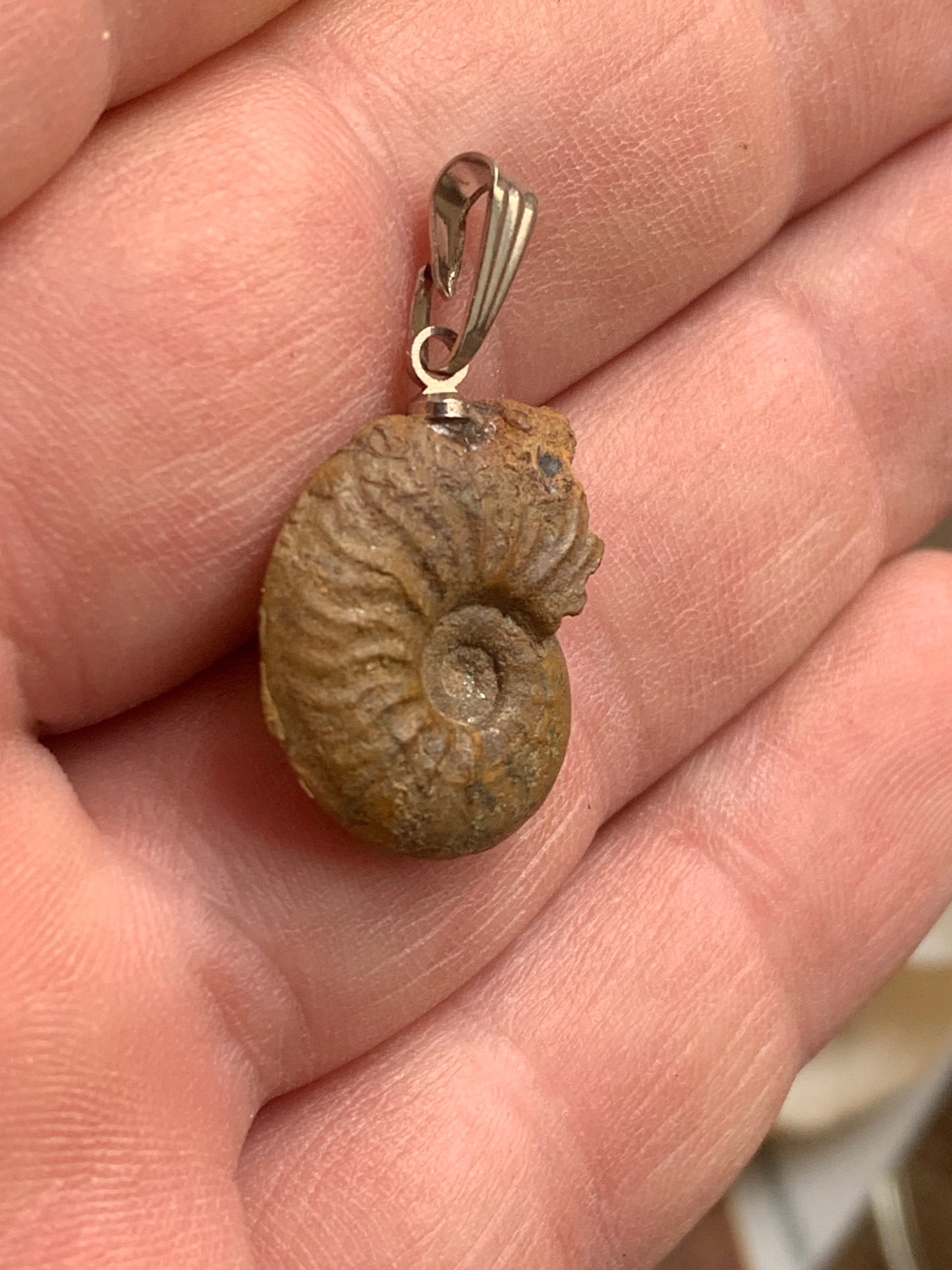 Ammonite, pendentif de taille de 30 millimètres x 15 x 6. Vendu avec ou sans cordon noir et réglable de 60 cm !