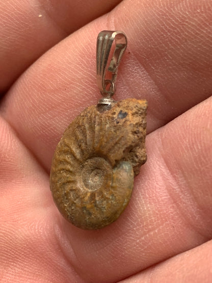 Ammonite, pendentif de taille de 30 millimètres x 15 x 6. Vendu avec ou sans cordon noir et réglable de 60 cm !