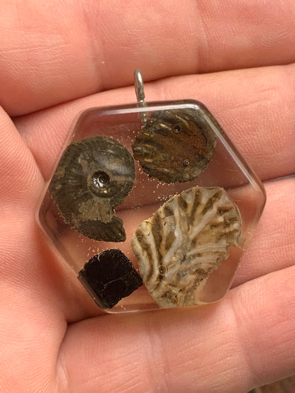 Orgonite avec Ammonite et fossiles, pendentif de taille de 42 millimètres x 44 x 12. Vendu avec ou sans cordon noir et réglable de 60 cm !