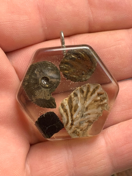 Orgonite avec Ammonite et fossiles, pendentif de taille de 42 millimètres x 44 x 12. Vendu avec ou sans cordon noir et réglable de 60 cm !