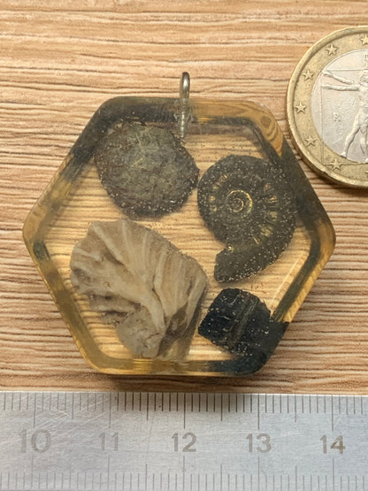 Orgonite avec Ammonite et fossiles, pendentif de taille de 42 millimètres x 44 x 12. Vendu avec ou sans cordon noir et réglable de 60 cm !