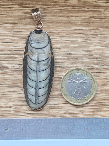 Orthoceras, pendentif de 60 millimètres x21 x11. Vendu avec ou sans cordon noir et réglable de 60 cm !