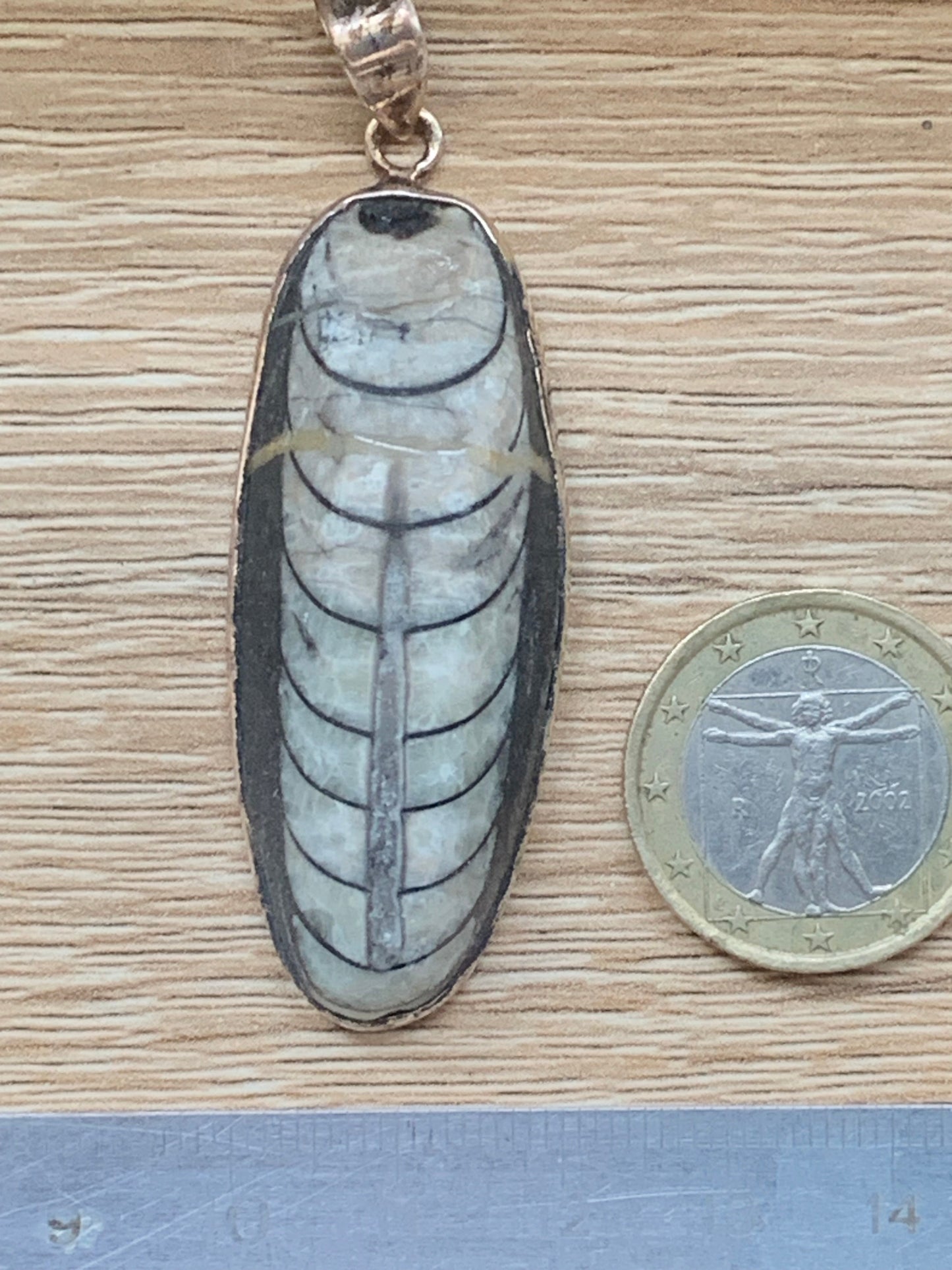 Orthoceras, pendentif de 60 millimètres x21 x11. Vendu avec ou sans cordon noir et réglable de 60 cm !